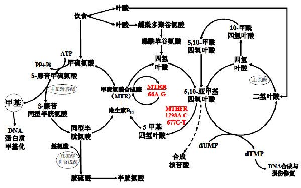 ʱ-ǲ!